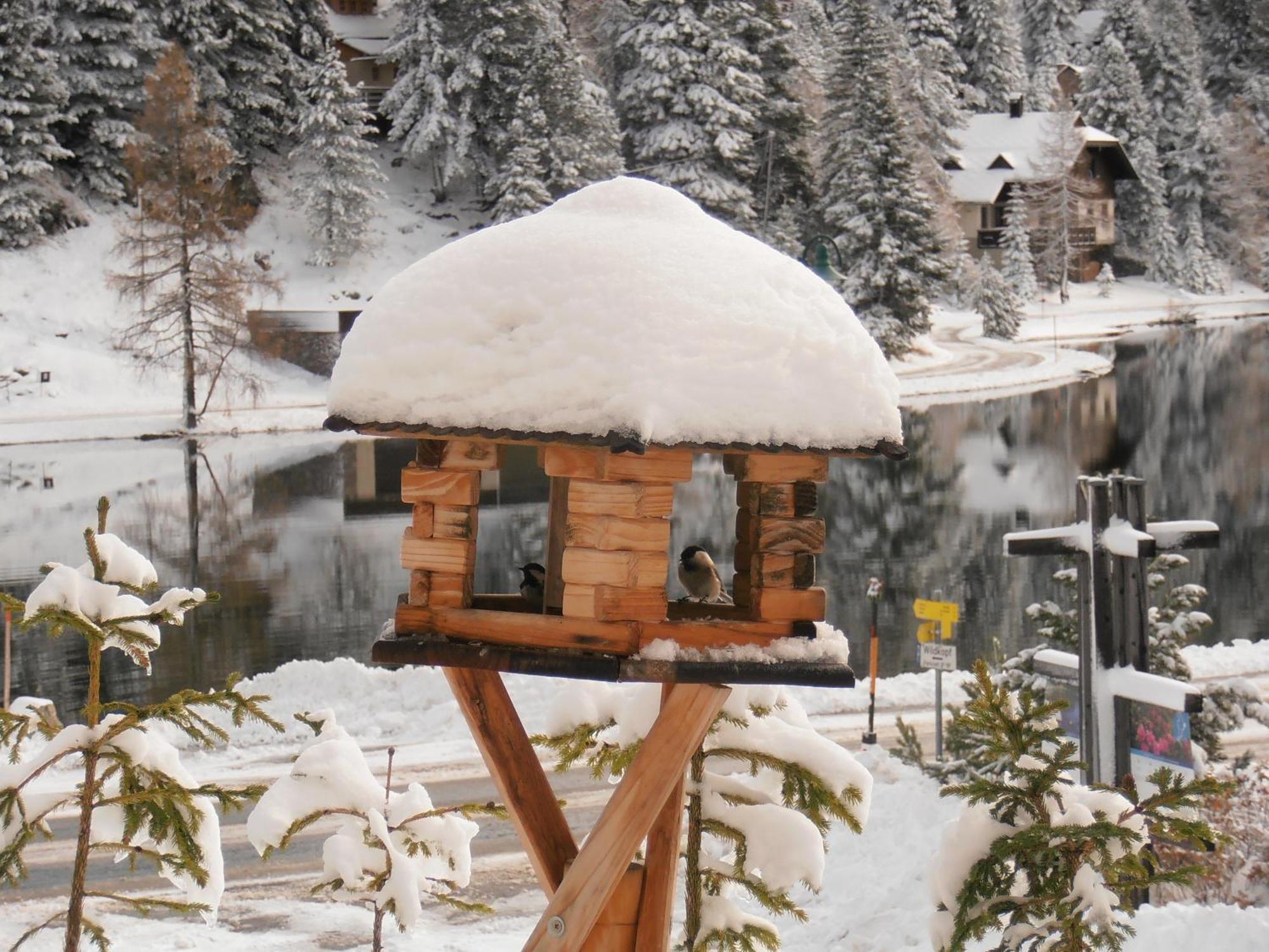 Sundance Mountain Resort Turracher Hohe Eksteriør bilde